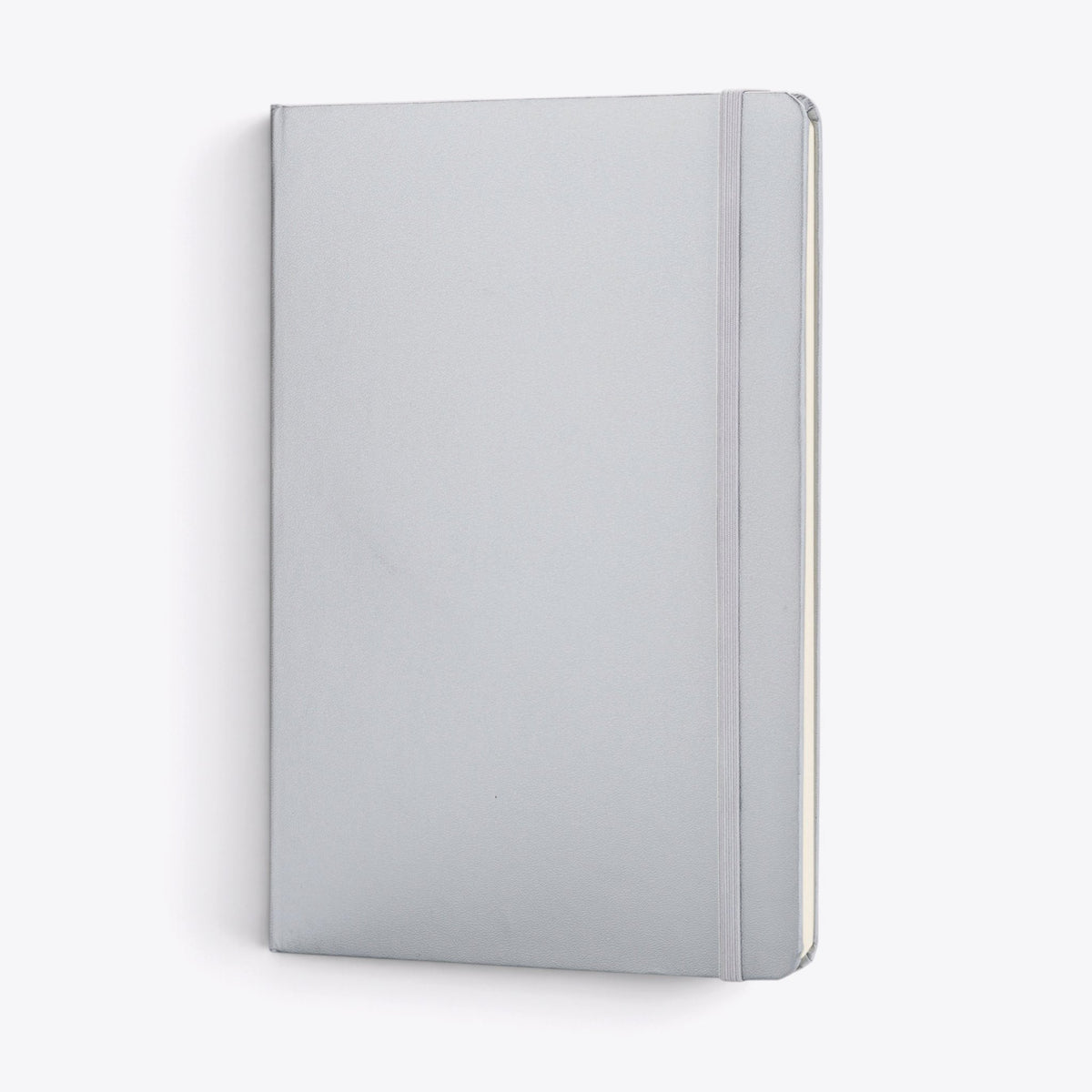 Carnet A5 classique argent, vue de trois quarts debout